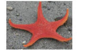 Lowest tides in years