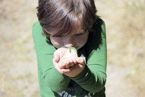 Vashon Nature Center Photo
