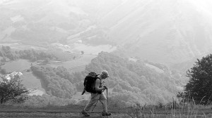 Everyday Camino Productions Photo