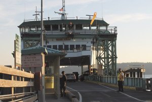 The Chetzemoka replaced the Rhododendron in January. Since then