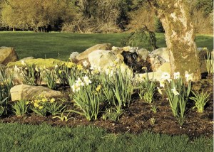 This year’s Vashon Allied Arts Garden Tour tour includes Richard and Kathleen Vaught Farner’s garden.