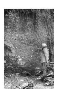 An Island geologist points out a cliff exposure that feeds cobbles to the beach between Fern Cove and Cove on Vashon’s Colvos Passage.