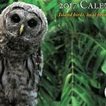Audubon calendar showcases island photographers’ work, raises money