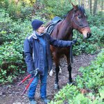 End of year brings three new purchases for Land Trust