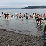 Ringing in the new year at 2017 Polar Plunge