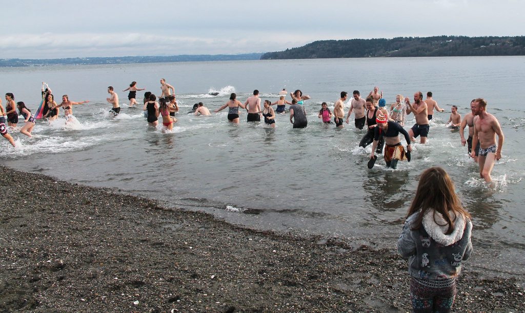 Cold but invigorated plungers make their way out of the water. (Anneli Fogt/Staff Photo)