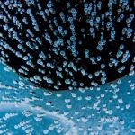 Air bubbles frozen in the pond make for an otherworldly sight below ice skates. (Cassie Bergman Photo)