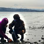 From the community: Island Beach Watcher program launches as part of larger Salish Sea restoration