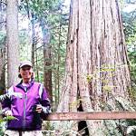 Poetry Well for April