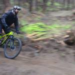 Mountain bike trails in Dockton Forest will open this weekend