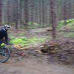 Islander and avid bike rider Brian Starr tests out the bike trails in Dockton Forest. After nearly one year of work performed by island volunteers, the trails, set in a portion of the forest not occupied by existing multi-use trails, will officially open to the public with a ceremony Saturday. (Anneli Fogt/Staff Photo)