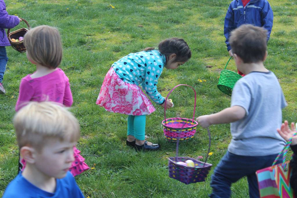 A girl places eggs in her basket during last Saturday&rsquo;s egg hunt at Ober Park. (Anneli Fogt/Staff Photo)
