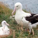 Off the Rock and under the radar for May 17