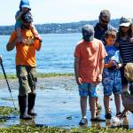 Low tide festival at Point Robinson Saturday
