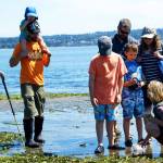 Beach Naturalist Marie Brown (right) answers questions about the critters living in the eelgrass at a previous year&rsquo;s Low Tide Celebration. (Jay Holtz Photo)