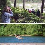 Top: Birders from Seattle and Vashon look and listen as author and bird expert Ed Swan explains the natural history of bird species found at Fisher Pond. (Chris Woods Photo)                                Bottom: A great blue heron fishes in Dockton. (Tanner Stinson Photo)