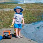 A boy plays among the eelgrass at Point Robinson Saturday. (Kent Phelan Photo)