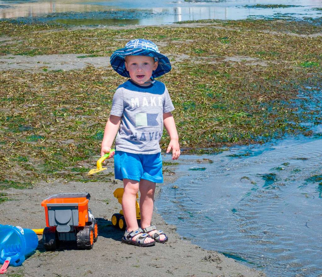 A boy plays among the eelgrass at Point Robinson Saturday. (Kent Phelan Photo)