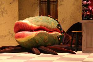 Summer musical shines satirical light on serious subjects