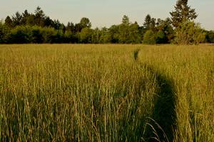 Field Notes: Farmers and environmentalists need one another