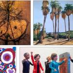 Take a summer stroll through galleries and art spots on Friday