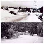 Top: Jack&rsquo;s Market, on Vashon&rsquo;s north end was one of the small community stores that dotted Vashon in the 1940s when there was far less foliage to be found. (Courtesy Photo)                                 Bottom: The Vashon John L. Scott office now occupies the building surrounded by far more trees. (Terry Donnelly Photo)