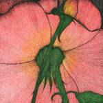 Late island artist to be celebrated at VCA