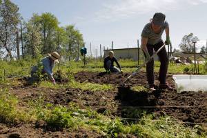 Food bank offering kid-focused garden workshops this month