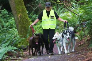 Islanders in need of local pet boarding, sitting, walking can turn to B-Town