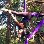 Performers fly high in aerial festival