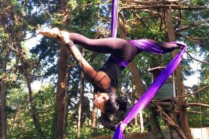 Performers fly high in aerial festival