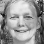 COMMENTARY: As fall begins, consider an eco-friendly lawn for both environment, curb appeal