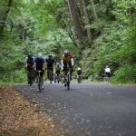 A group of riders struggles up a hill during Saturday&rsquo;s Passport to Pain bike ride. A total of 351 bikers took to the island&rsquo;s most punishing hills to raise money for the Vashon Island Rowing Club. (David Weller Photo)