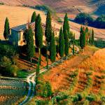 VCA art auction includes signature experiences