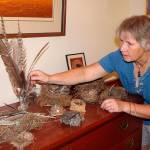 Poet Carey Hunter Davis shows her collection of bird feathers and nests. (Juli Goetz Morser/Staff Photo)