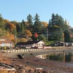 Climate change hits home: Rising seas may claim hundreds of houses on Vashon