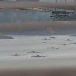 Rowers compete at annual Portland event