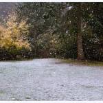 Snow falls on the island Sunday afternoon (Roman Zlobin Photo)