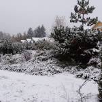 Vashon&rsquo;s Roseballen community blanketed in snow Sunday afternoon. (Jude Spaith Photo)