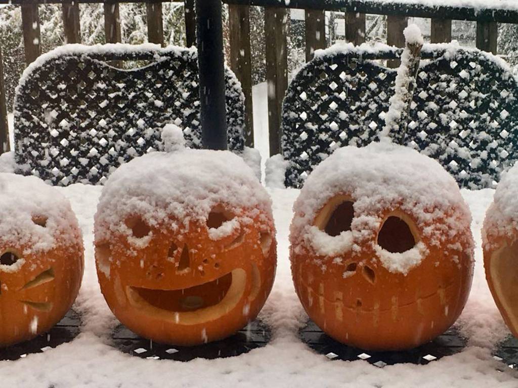 Autumn snowfall sits on jack-o-lanterns. (Rheagan Sparks Photo)