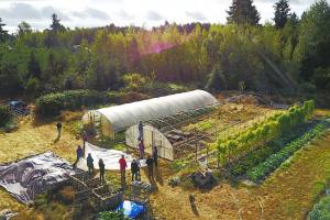 At Shoulder to Shoulder, farming goes beyond food