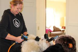 Island artist enlists help of woodshop students