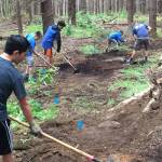Mountain bike trail building in Dockton forest  VFS wrote the grant for this project. (Courtesy Photo)
