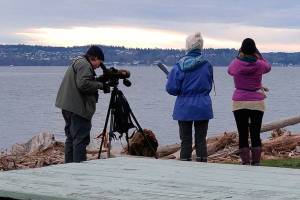 Say ‘good bye’ to 2017 from a natural perspective