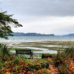 The Land Trusts Fern Cove Preserve offers a quiet place to reflect on the past year and contemplate the new one. (Jake Conroy Photo)