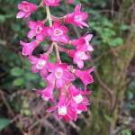 Seasonal cycles point to changes in natural world