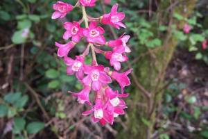 Seasonal cycles point to changes in natural world