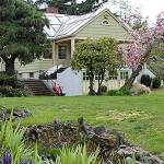 The addition of five more cherry trees will add to the spring color at the Mukai Home and Garden.