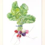 Harbor School holds online and onsite auction