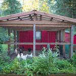 The Will Winery Garden and Grounds are rich and varied  and include chickens. (Courtesy Photo)